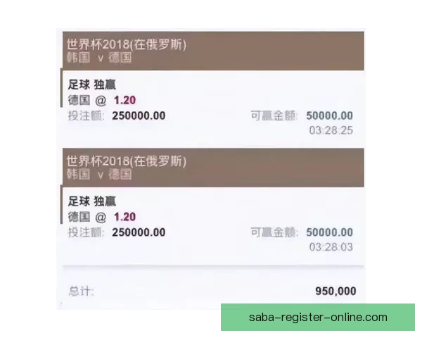 世界杯竞猜投注平台全面上线 提供精准赔率与实时数据分析