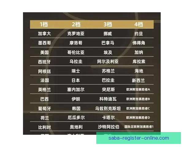 世界杯足球竞猜官网全新攻略与玩法解析助力精准预测胜负